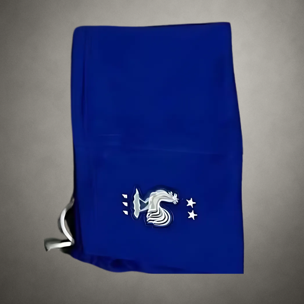 2022 France White Kids Kit